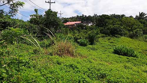 Resiential Lot for Sale in Brgy. Iruhin, Tagaytay
